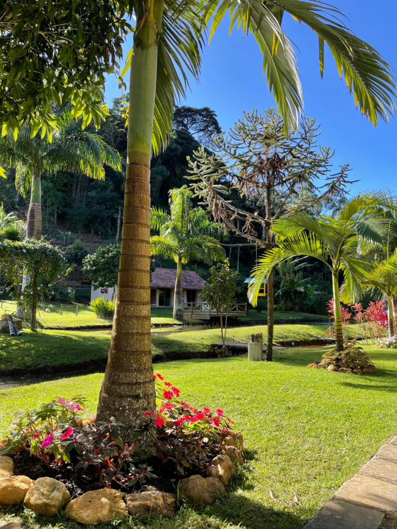 Sitio Terra Sana Bed & Breakfast Santa Teresa  Luaran gambar